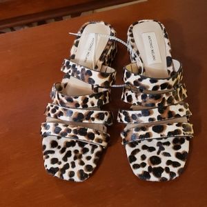 Antonio Melani sandals, color leopard, size 8 M
